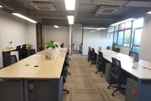 外高桥医药分销中心 135平精装全配 可注册医疗器械一二三类